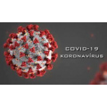 Testovanie COVID-19
