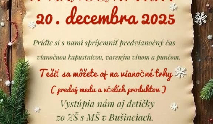 1. fotografia fotogalérie Aktuality / Pozývame Vás na slávnostné posvätenie Betlehemu a Vianočné trhy v obci Bušince 20.12.2025 o 16:00 hod. - foto