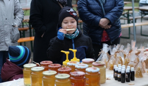 Vianočné Bušinské trhy